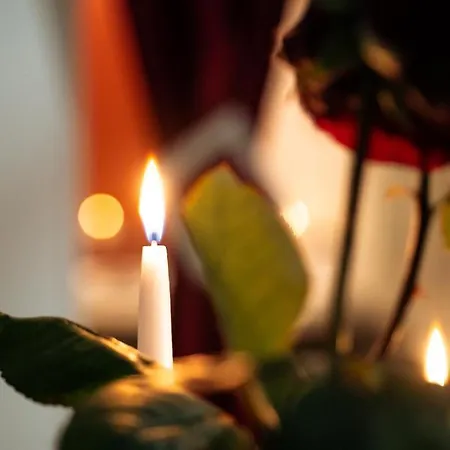 Apartment Ignite Nantes