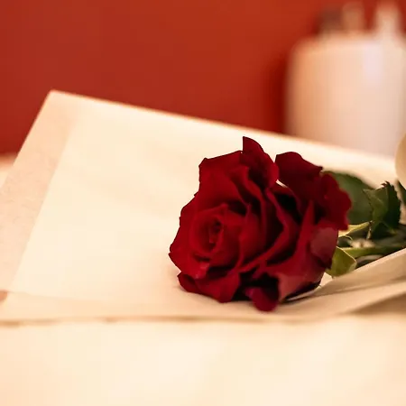 Apartment Ignite Nantes